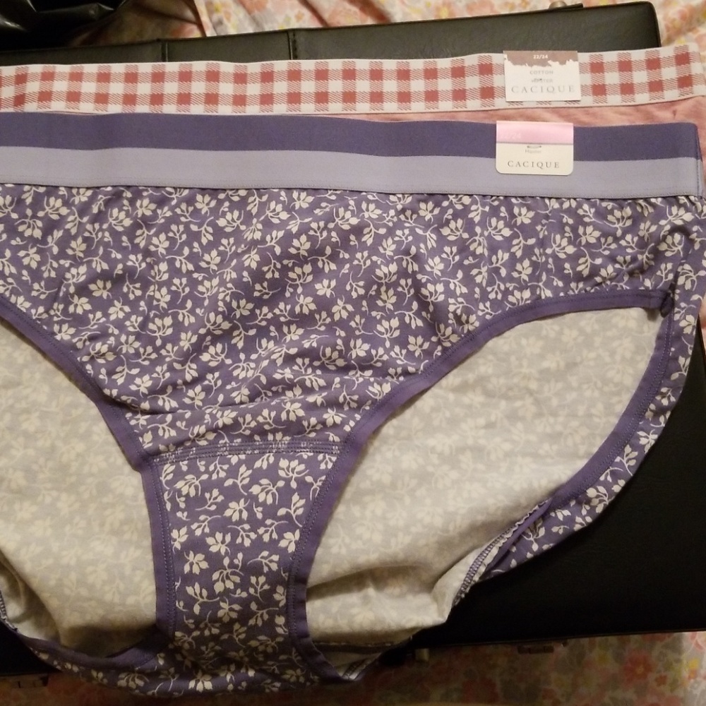 Lane Bryant Hipster undies